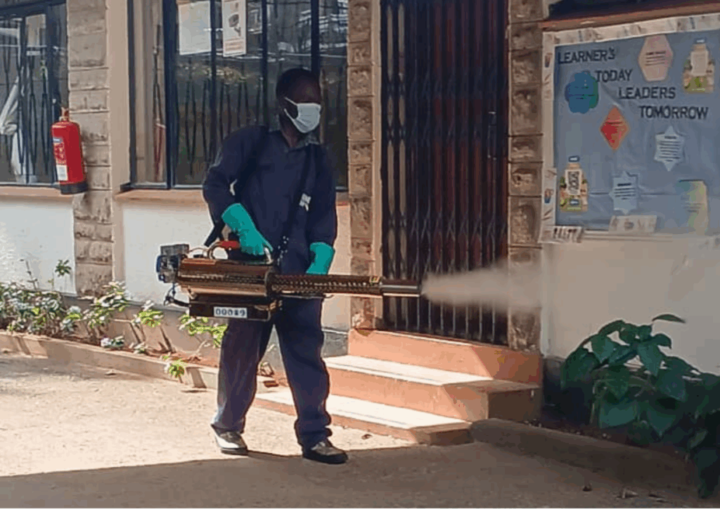 Professional termite treatment and termite control services in Kenya